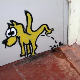 Женя, Бор