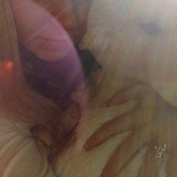 Qwerty, Москва