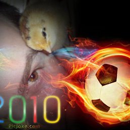 Vladmiir, Красноармейск