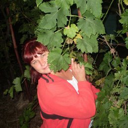 Лидия, Красноармейск