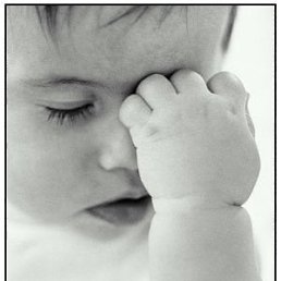 Настюха, Петрозаводск